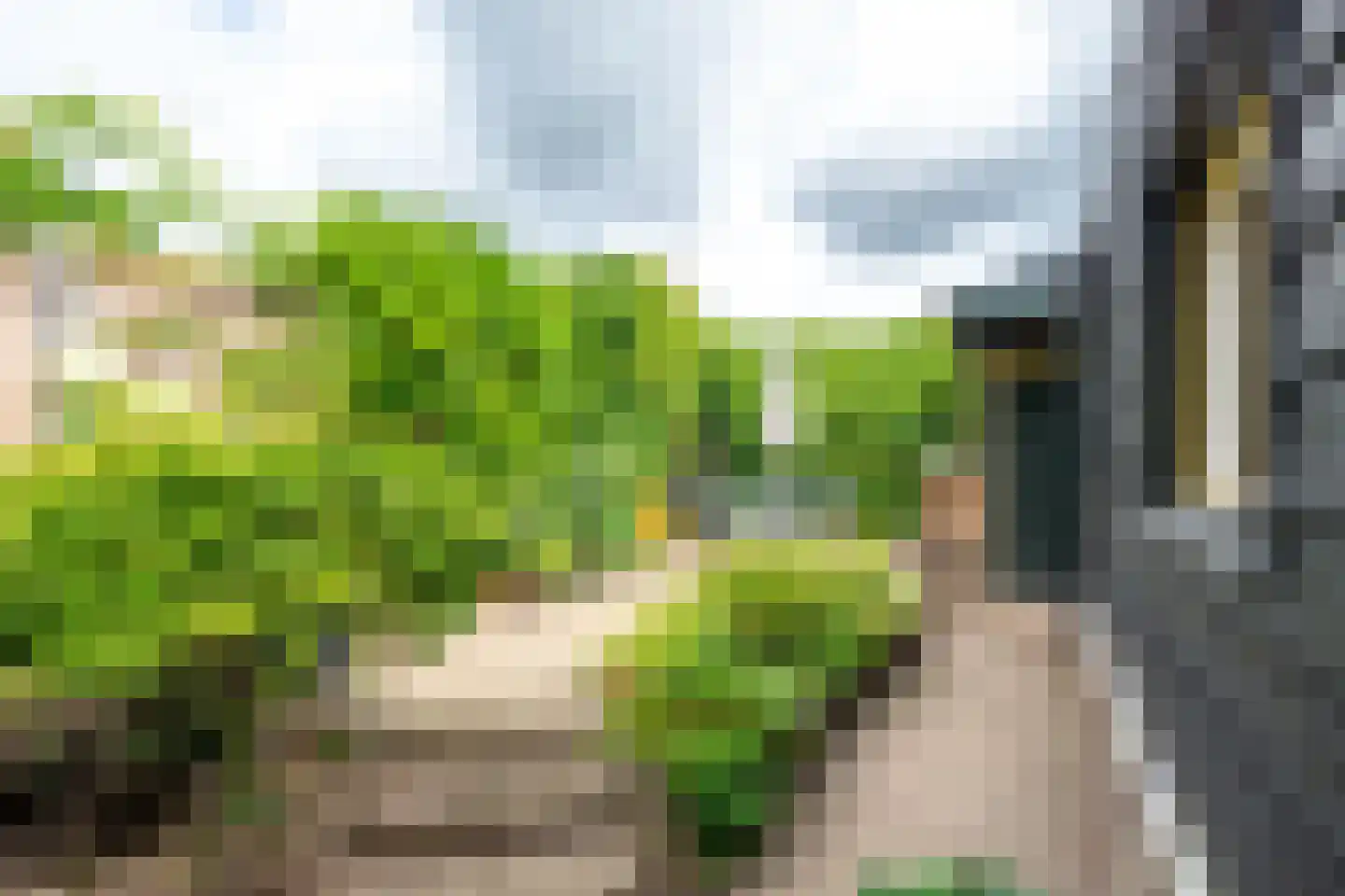 Kampdwarsweg 16 Doorn thumbnail 31