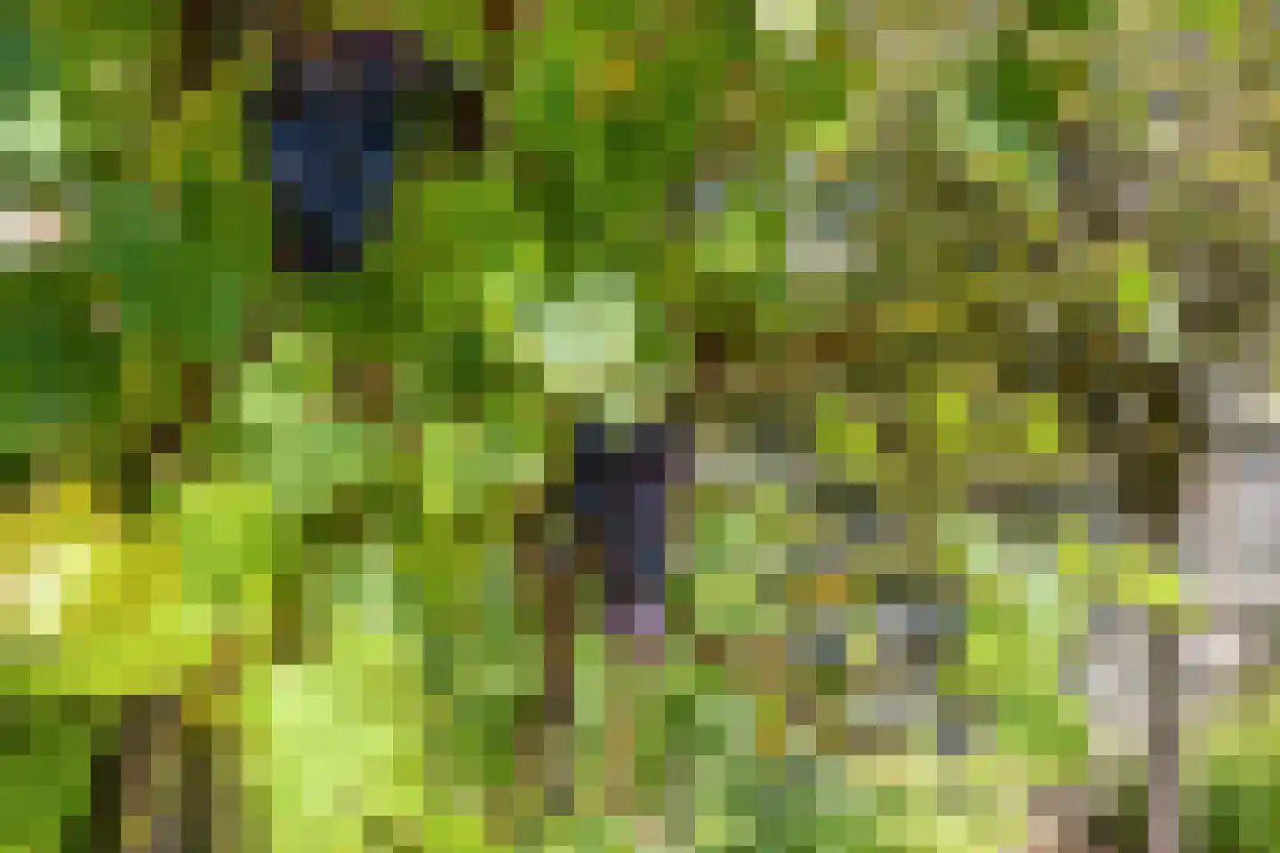 Kampeerveld 10 Biddinghuizen thumbnail 38