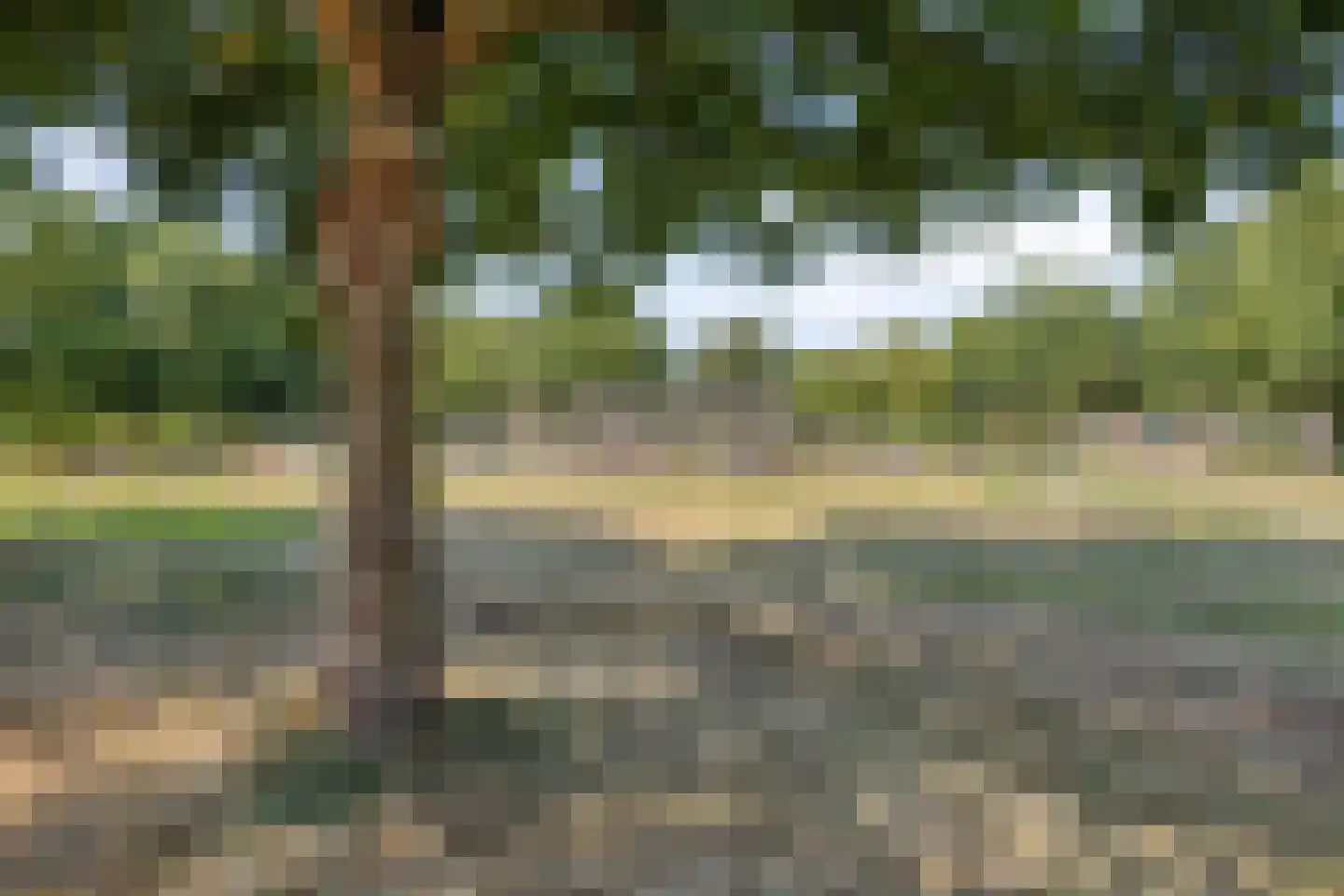 Kampeerveld 10 Biddinghuizen thumbnail 44