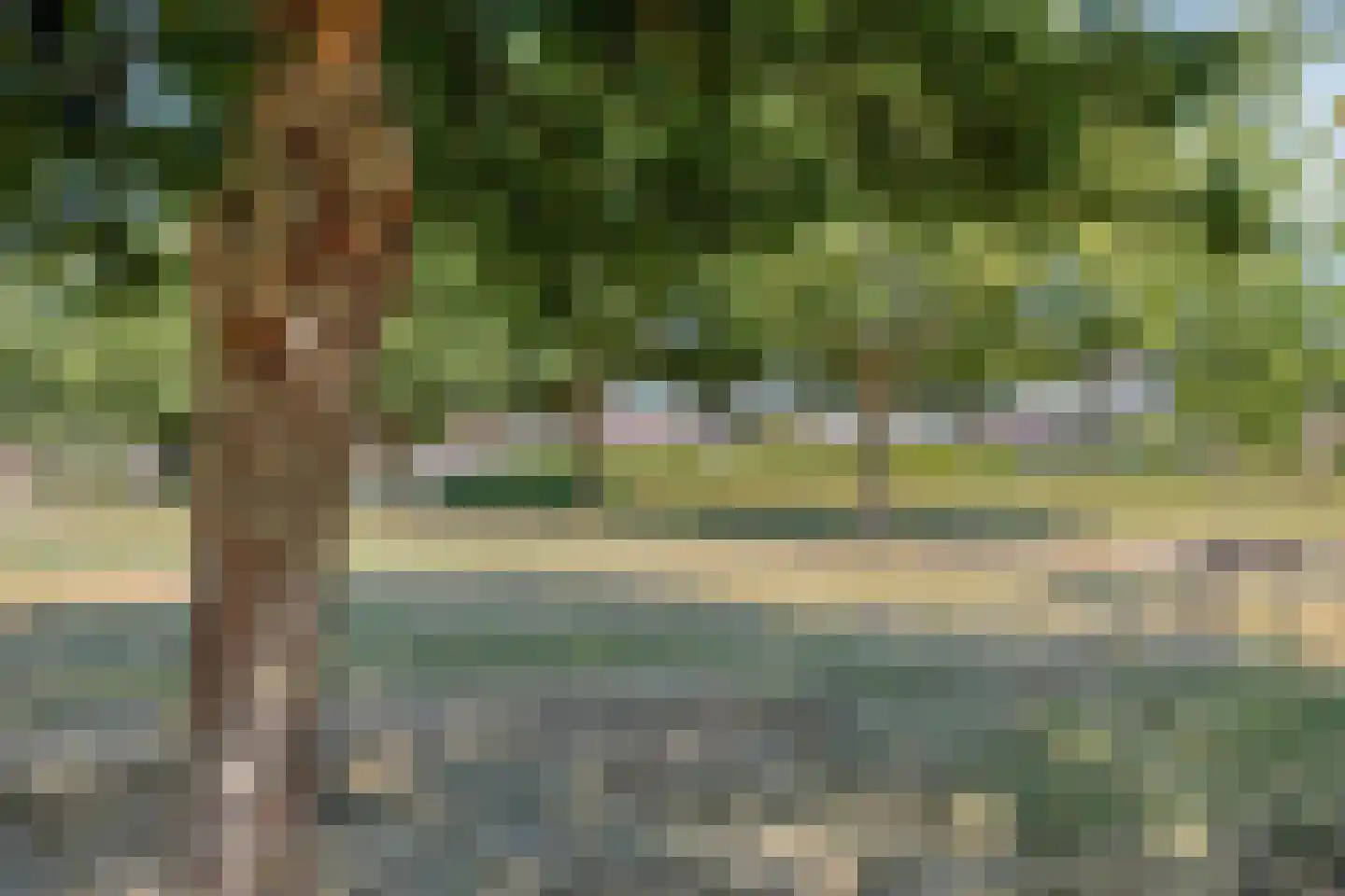 Kampeerveld 10 Biddinghuizen thumbnail 46