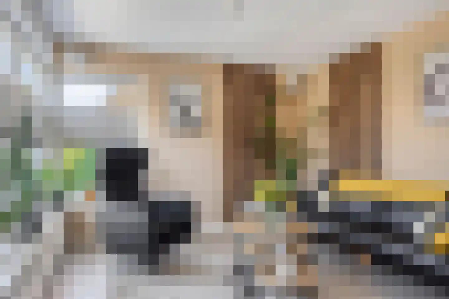 Kampeerveld 10 Biddinghuizen thumbnail 8