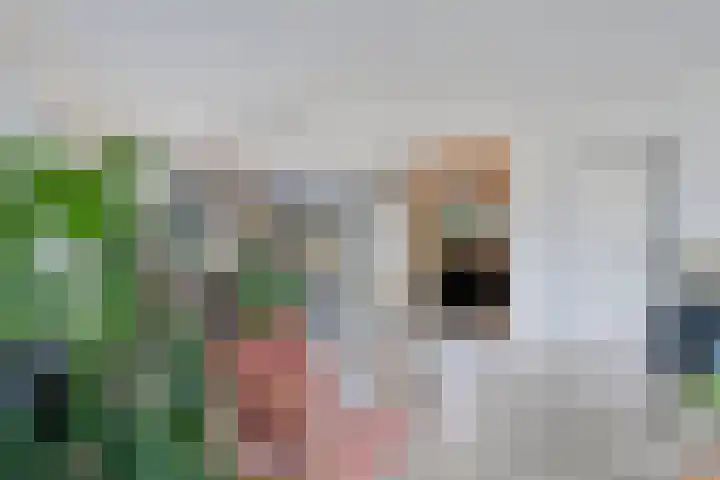 Kampeerveld 11 Biddinghuizen thumbnail 10