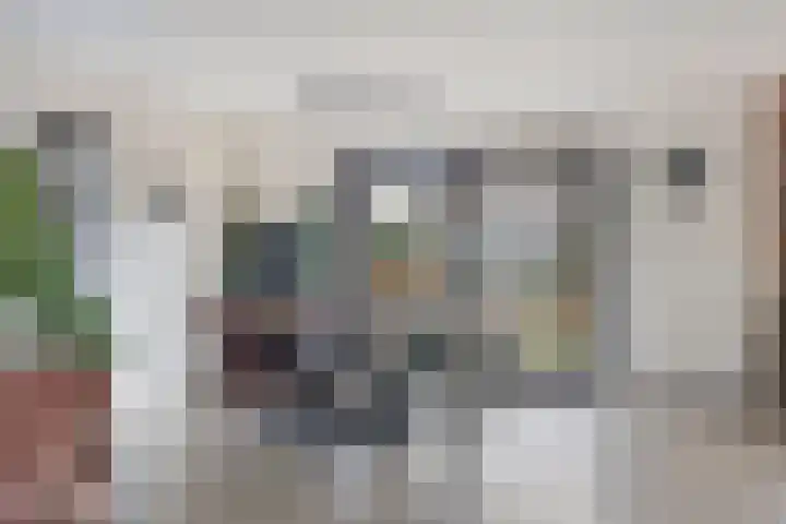 Kampeerveld 11 Biddinghuizen thumbnail 11