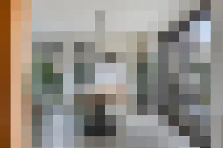 Kampeerveld 11 Biddinghuizen thumbnail 12