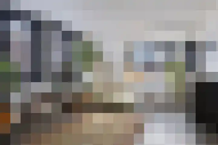 Kampeerveld 11 Biddinghuizen thumbnail 21