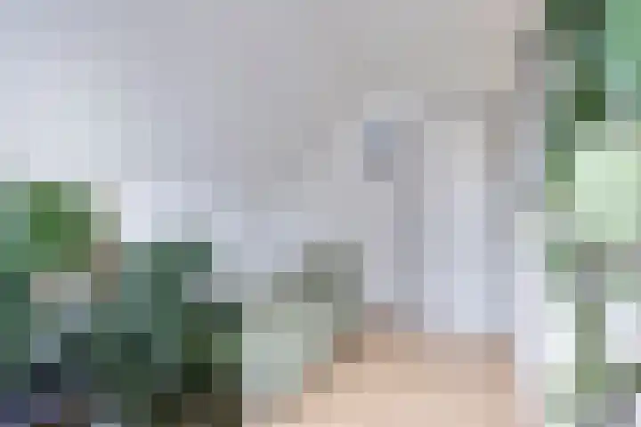 Kampeerveld 11 Biddinghuizen thumbnail 30