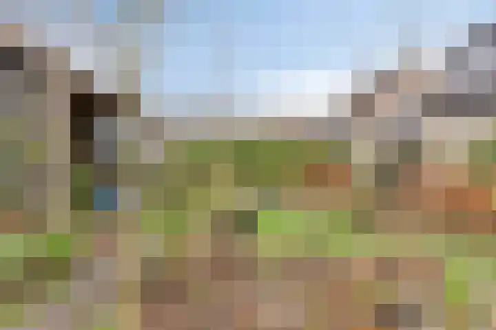 Kampeerveld 11 Biddinghuizen thumbnail 34