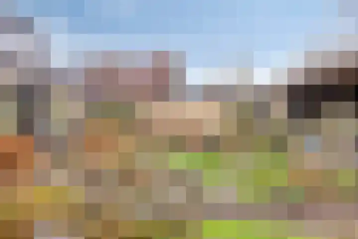 Kampeerveld 11 Biddinghuizen thumbnail 35