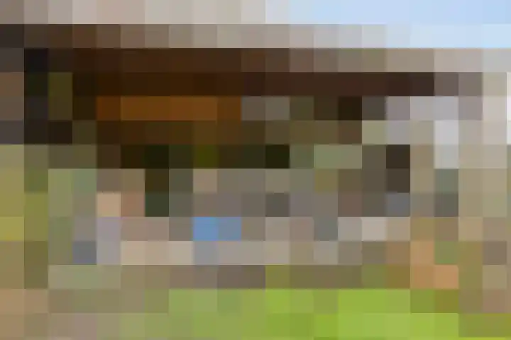 Kampeerveld 11 Biddinghuizen thumbnail 36