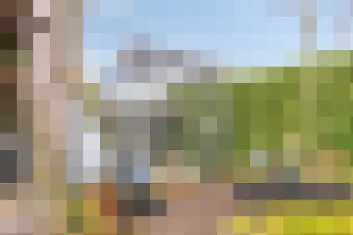 Kampeerveld 11 Biddinghuizen thumbnail 38