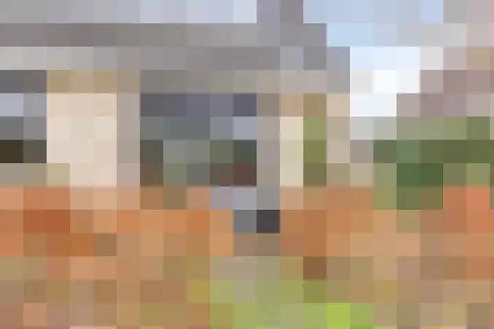 Kampeerveld 11 Biddinghuizen thumbnail 39