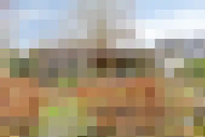 Kampeerveld 11 Biddinghuizen thumbnail 40