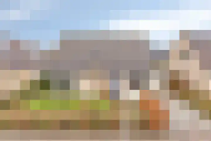 Kampeerveld 11 Biddinghuizen thumbnail 41