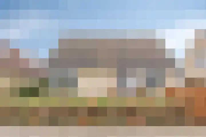 Kampeerveld 11 Biddinghuizen thumbnail 42