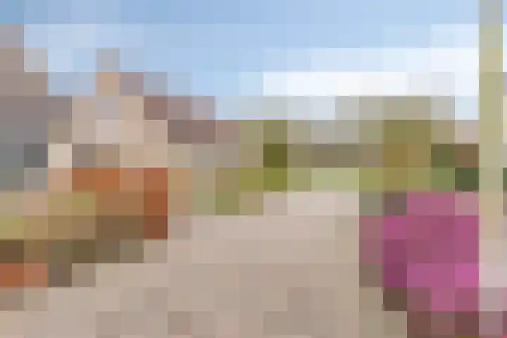 Kampeerveld 11 Biddinghuizen thumbnail 43