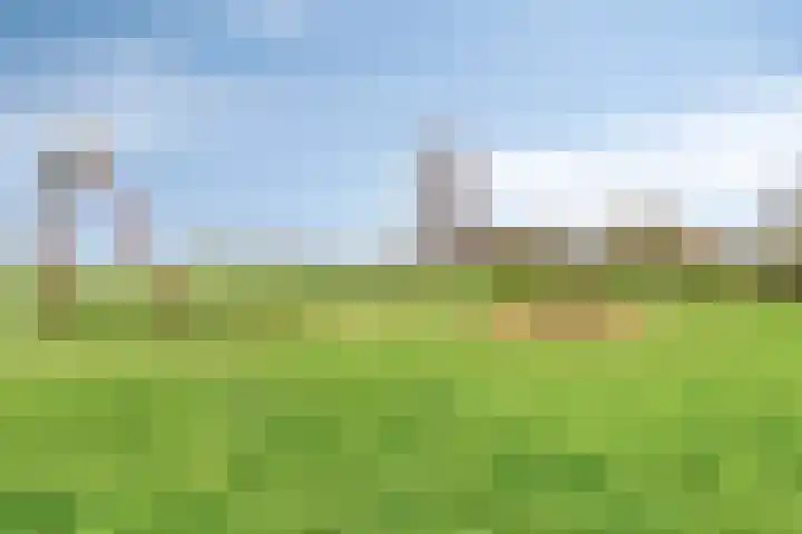 Kampeerveld 11 Biddinghuizen thumbnail 44