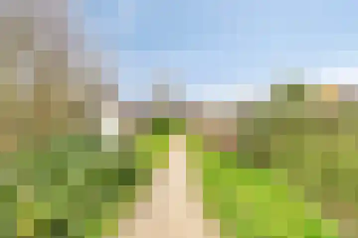 Kampeerveld 11 Biddinghuizen thumbnail 45