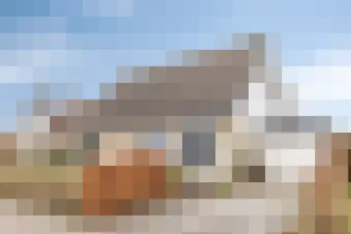 Kampeerveld 11 Biddinghuizen thumbnail 5