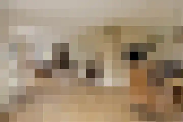 Kampeerveld 16 Biddinghuizen thumbnail 13