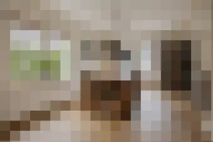 Kampeerveld 16 Biddinghuizen thumbnail 14