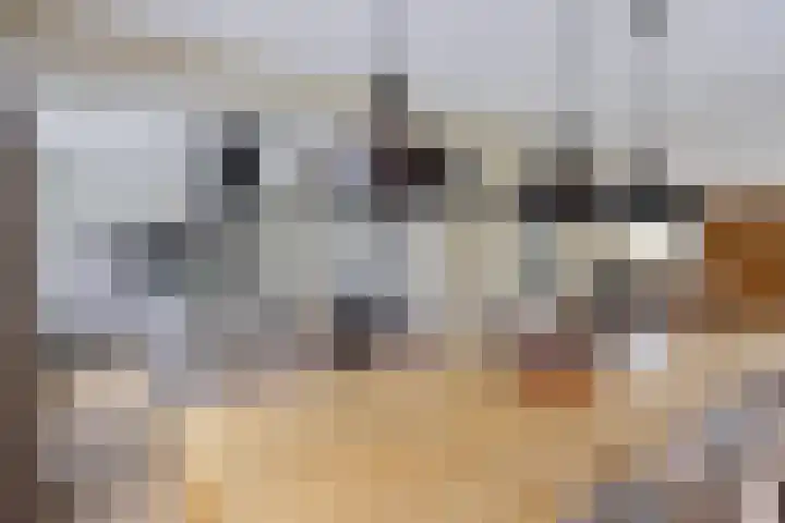 Kampeerveld 16 Biddinghuizen thumbnail 16