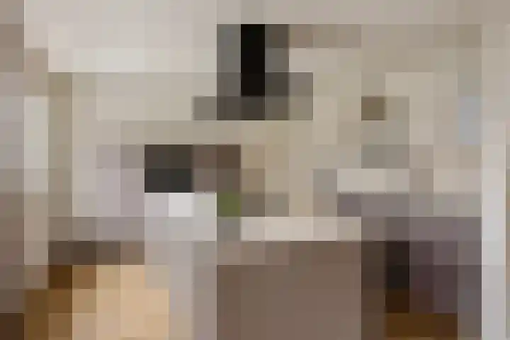 Kampeerveld 16 Biddinghuizen thumbnail 17
