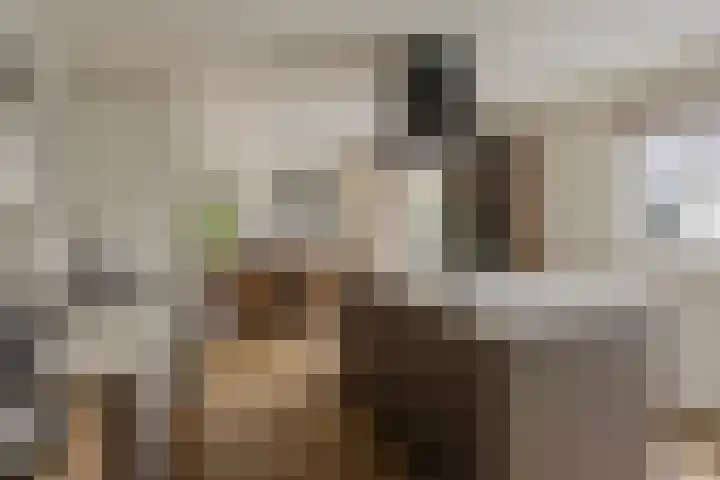 Kampeerveld 16 Biddinghuizen thumbnail 18