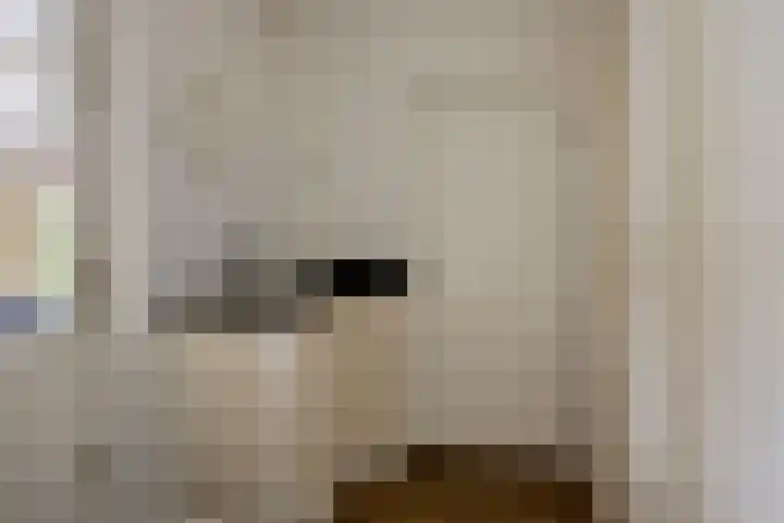 Kampeerveld 16 Biddinghuizen thumbnail 19