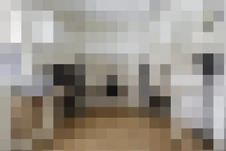 Kampeerveld 16 Biddinghuizen thumbnail 20