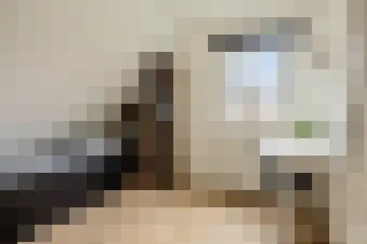 Kampeerveld 16 Biddinghuizen thumbnail 25