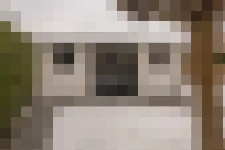 Kampeerveld 16 Biddinghuizen thumbnail 36