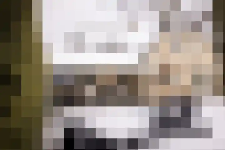 Kampeerveld 16 Biddinghuizen thumbnail 4