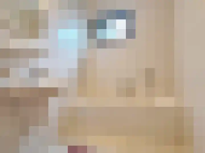 Kampeerveld 9 Biddinghuizen thumbnail 13