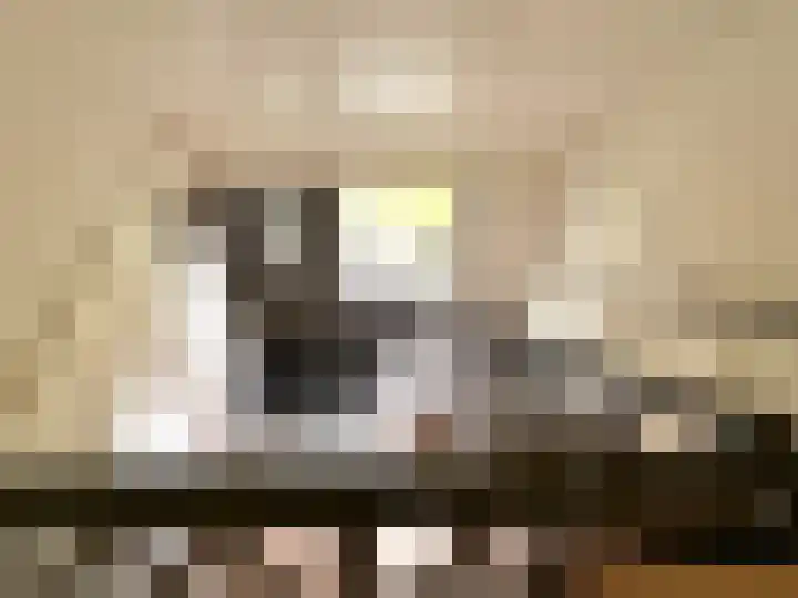 Kampeerveld 9 Biddinghuizen thumbnail 17