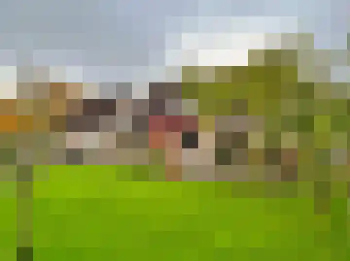 Kampeerveld 9 Biddinghuizen thumbnail 24