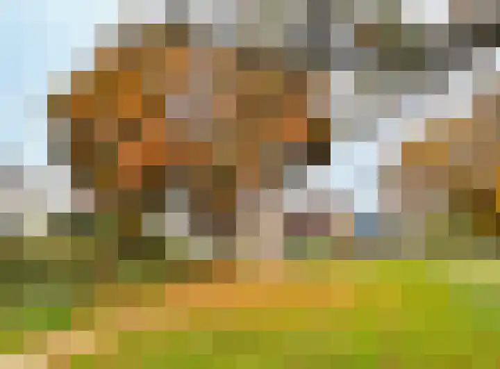 Kampeerveld 9 Biddinghuizen thumbnail 30