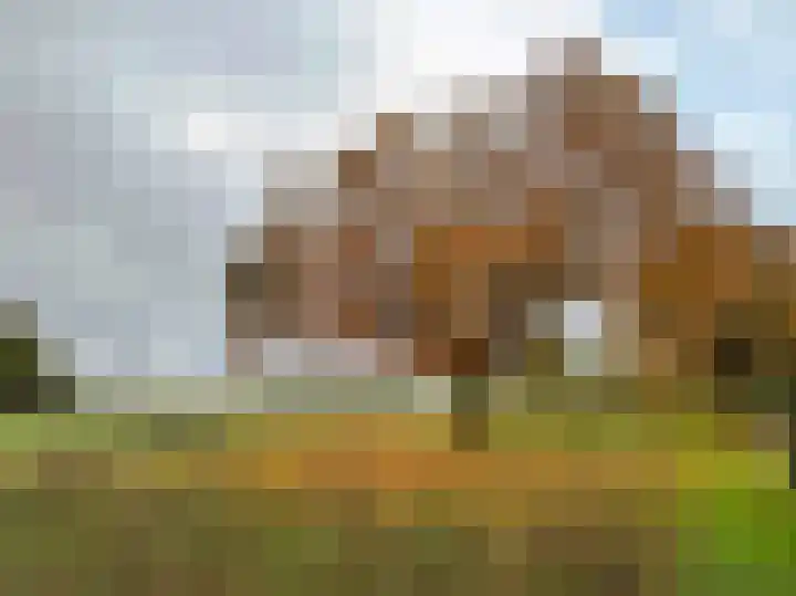 Kampeerveld 9 Biddinghuizen thumbnail 31