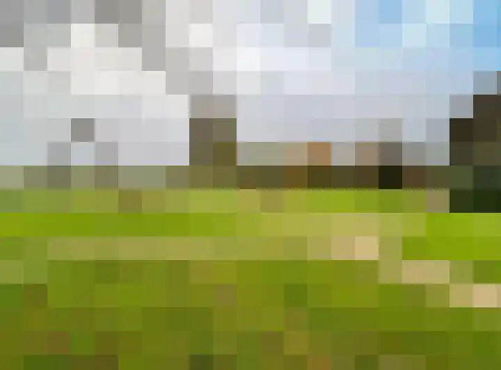 Kampeerveld 9 Biddinghuizen thumbnail 33