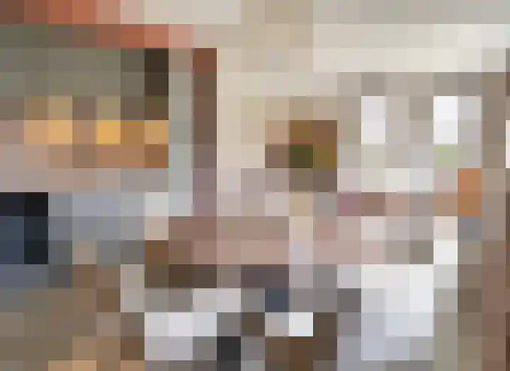 Kampeerveld 9 Biddinghuizen thumbnail 8