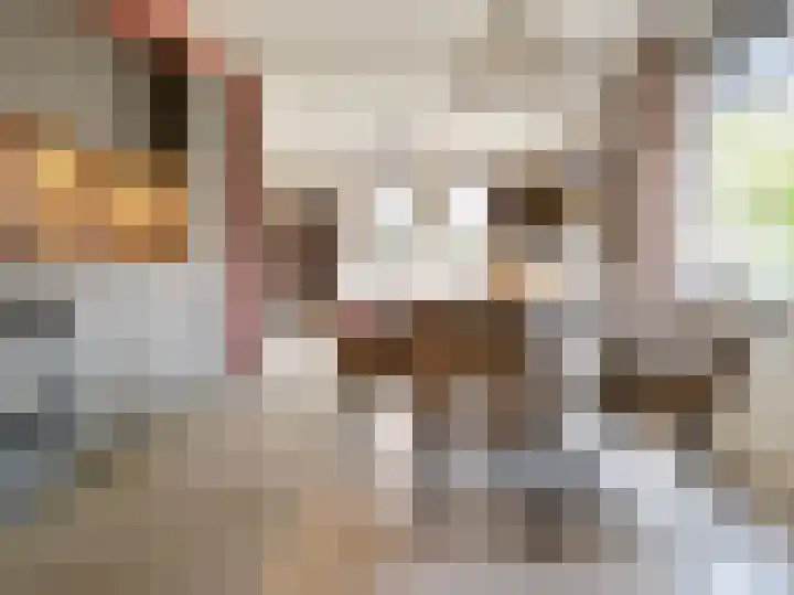 Kampeerveld 9 Biddinghuizen thumbnail 9