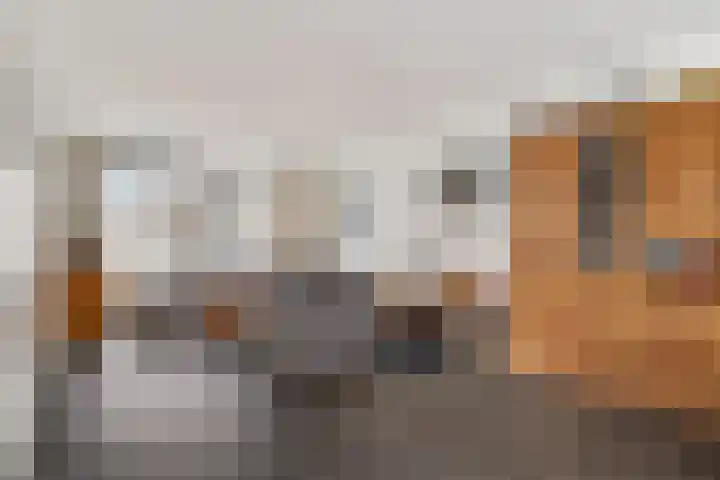Kampement 3 Steenwijk thumbnail 11