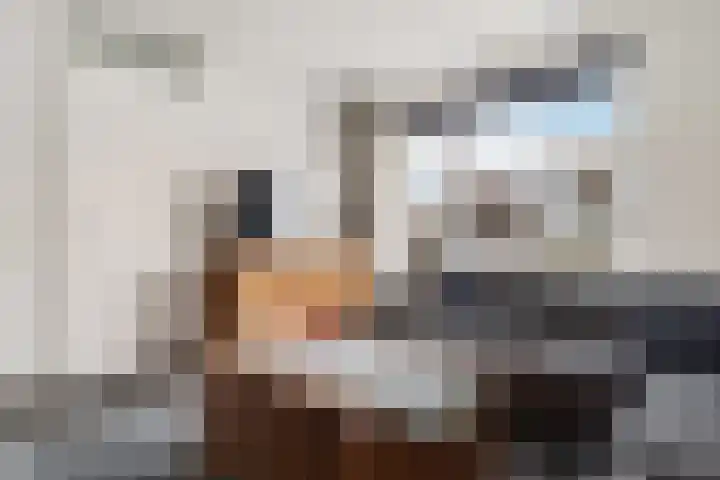 Kampement 3 Steenwijk thumbnail 13