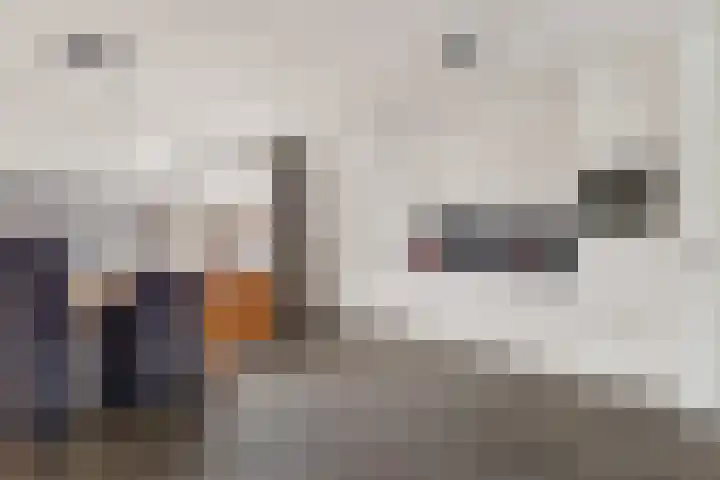 Kampement 3 Steenwijk thumbnail 19