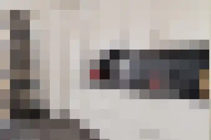 Kampement 3 Steenwijk thumbnail 21