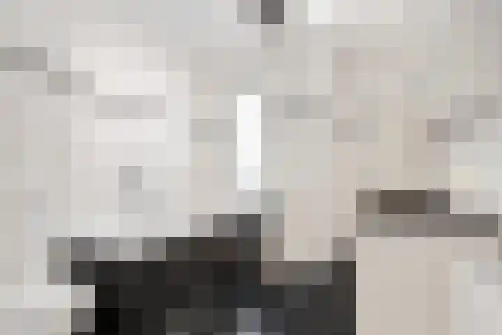 Kampement 3 Steenwijk thumbnail 28