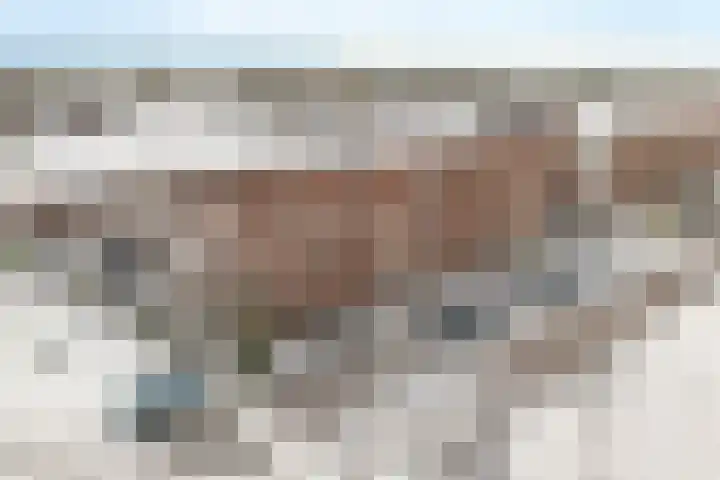 Kampement 3 Steenwijk thumbnail 7
