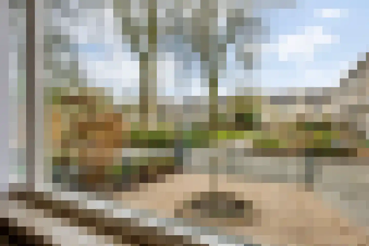 Kampenhout 8 Vught thumbnail 12