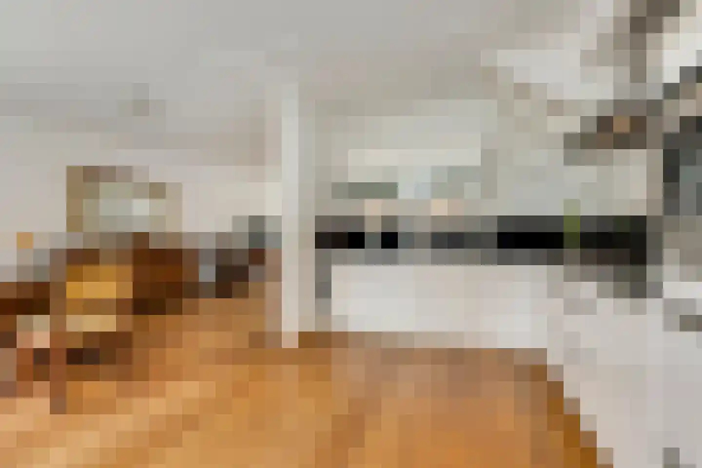 Kampenhout 8 Vught thumbnail 14