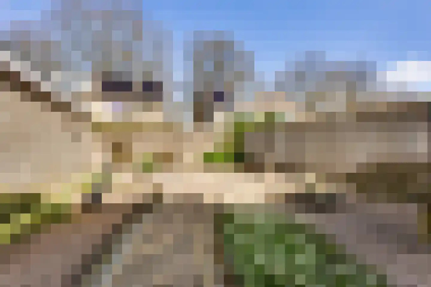 Kampenhout 8 Vught thumbnail 19