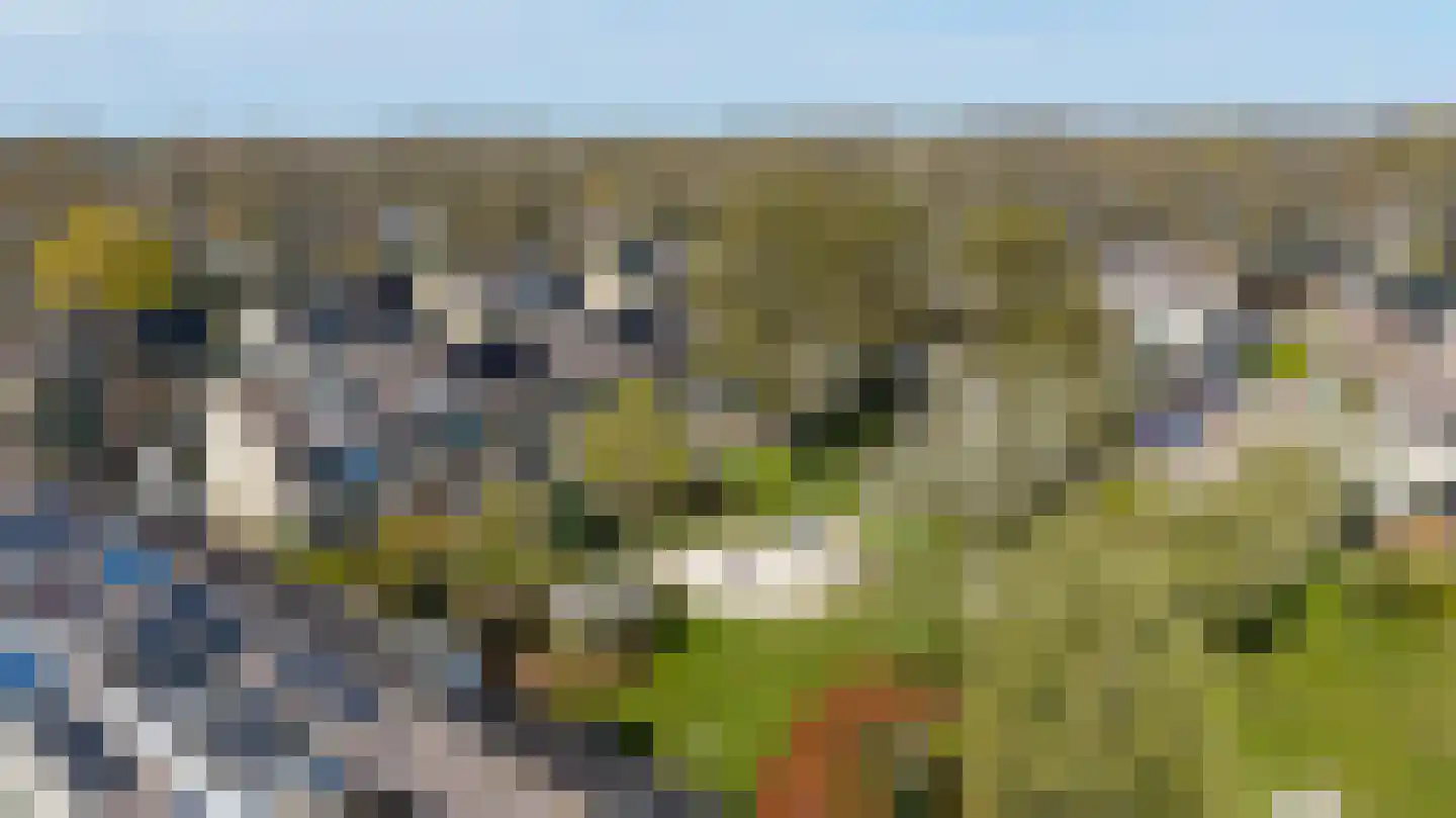 Kampenhout 8 Vught thumbnail 41